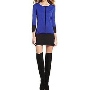 THML Color Block Mini Sweater Dress 